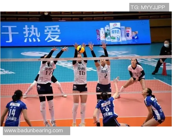 实时新闻深圳排球队反击策略分析与比赛表现的得失总结